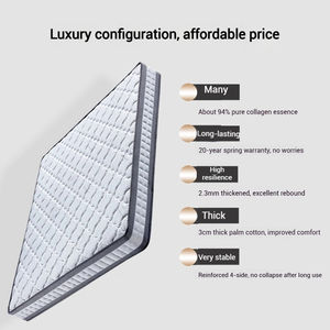 Kasur lateks rumah 1.8m, kasur saku musim semi Hotel | Pendukung ortopedi dapat dilipat dengan koir kelapa bebas lem - Product Image 2