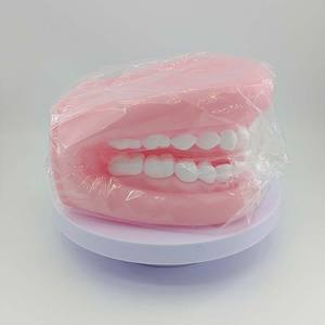 Modelo <span class=keywords><strong>de</strong></span> <span class=keywords><strong>Boca</strong></span> <span class=keywords><strong>de</strong></span> Plástico con Cepillo <span class=keywords><strong>de</strong></span> Dientes para Demostrar Técnicas <span class=keywords><strong>de</strong></span> Cepillado Dental, Hecho en China - Product Image 2