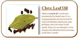 Gel Pemutih Penghilang Nyeri Gigi Panas dan Dingin, Pasta Gigi Cengkeh Herbal Organik Fluorida - Product Image 3