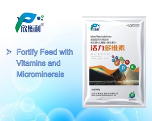 Oem ODM quan trọng <span class=keywords><strong>Vitamin</strong></span> tổng hợp & khoáng chất bổ sung với nguyên tố vi lượng cải thiện động vật Dinh Dưỡng & hấp thụ thức ăn phụ gia - Product Image 3