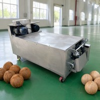 Machine automatique commerciale de décorticage et de polissage de noix de coco brunes, machine à éliminer les fibres de noix de coco