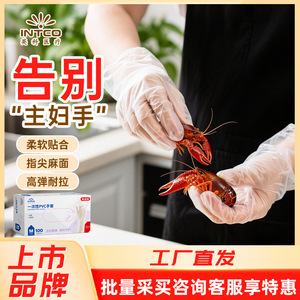 Inco Disposable Pvc <b>Gloves</b> Food Grade Transparent For Food Processing Picnic Use - Product Image 4