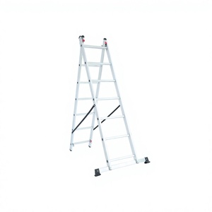 Échelle télescopique en aluminium à 2 sections, certifiée EN131, robuste, capacité de charge 150 kg, pour entrepôt et extérieur – Offre Spéciale - Product Image 1