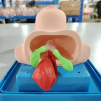 Maniquí de Intubación Endotraqueal para Recién Nacidos, Modelo de Intubación Traqueal Neonatal de PVC, Duradero, Certificado ISO, para Entrenamiento de Vías Respiratorias en Laboratorio