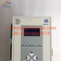 Système de contrôle d'excitation numérique Basler AVR DECS250 DECS-250-LN2SN1N, régulateur de tension automatique pour moteur DECS 250 LN2SN1N