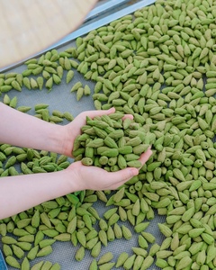 ธูปหอมอโรมาเธอราพีรูปกรวยทำมือจากใบยูคาลิปตัสออร์แกนิกที่เป็นมิตรต่อสิ่งแวดล้อม กลิ่นหอมธรรมชาติยาวนานสำหรับใช้ในบ้าน - Product Image 3