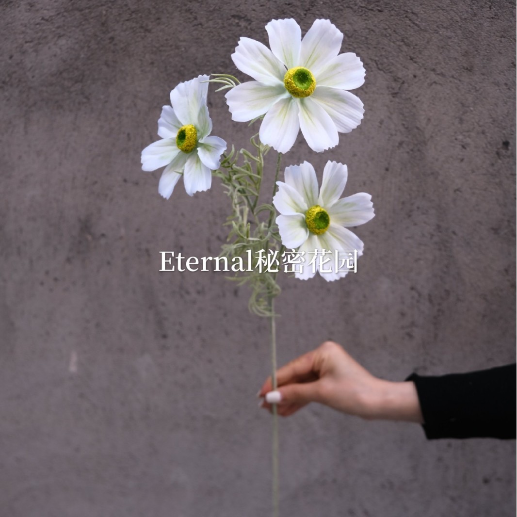 flor de gesang