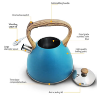 Bouilloire à thé classique en acier inoxydable 3L pour cuisinière, cafetière professionnelle commerciale polie miroir, en stock, verte