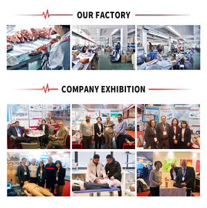 Modello delle manifestazioni dei riflessi spinali e delle lesioni - Product Image 4