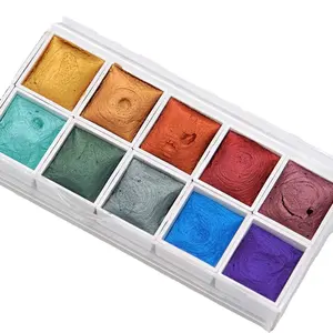 Artists Watercolor Paint Set Portable Case with 12 Color Set Sparkle Watercolor Solid Colors Paint Set for Beginners Artists