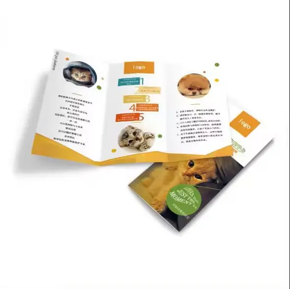 Professional Catalogs And Brochures Printing Folding Flyer Printing Tri Folded Leaflet Printing Booklet