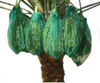 Dadels Over Zak Groene Pe Mesh Zak Voor Fruitboom Dadelpalm Bescherming Netto Net Plastic Rollende Zak