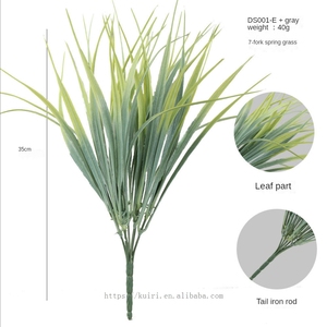 Vente Flash 2026 : Décoration de Mariage et d'Intérieur <span class=keywords><strong>en</strong></span> Eucalyptus de Qualité Supérieure - Product Image 4