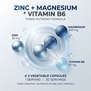 Capsules de complexe zinc-magnésium-vitamine B6 OEM ODM, 60 unités, fournisseur en gros de marques privées - Product Image 4