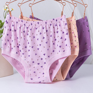 Culotte en coton <span class=keywords><strong>Granny</strong></span> taille haute vieilles femmes slips dames grande taille culotte couverture complète <span class=keywords><strong>Granny</strong></span> sous-vêtements pour personnes âgées - Product Image 2