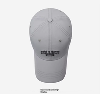 Casquette de baseball en tissu mesh brodé 3D motif léopard, logo personnalisé OEM ODM, ajustable, unisexe, style Dad Hat, vente en gros pour activités sportives en extérieur