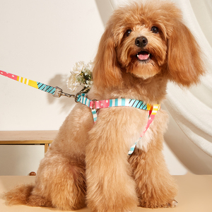 Conjunto de Arnés para Perro Acolchado de Neopreno Cómodo - Correa Ajustable Ecológica con Estampado de Sublimación en Bloques de Color - Product Image 3