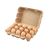 Ensemble de 15 plateaux d'emballage en papier pour œufs biodégradables personnalisés de haute qualité Boîtes d'emballage