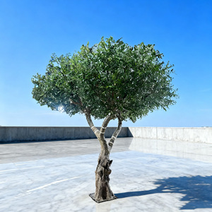 Nouveau Design Artificielle <span class=keywords><strong>En</strong></span> <span class=keywords><strong>Pot</strong></span> Oliviers 245cm <span class=keywords><strong>pour</strong></span> Bureau À Domicile Décor Artificiel Faux Plantes Soie <span class=keywords><strong>Olivier</strong></span> Plante D'intérieur - Product Image 3