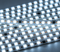 Lampu strip LED 5050 lebar 10mm yang dapat dipotong, beroperasi pada DC 12V / 24V, dikontrol oleh aplikasi, Ra90, IP67, cocok untuk taman luar ruangan