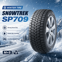 Pneus d'hiver radiaux sans chambre à air pour voitures particulières, pour remplacement/réparation, avec une bonne adhérence, 245/45r20