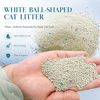 OEM 5kg Bentonite Cat Litter dengan Rendah Debu, Cepat Menggumpal & Mengontrol Bau untuk Kucing