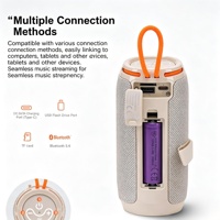 Mini-enceinte portable à marque privée avec batterie amovible et remplaçable, conforme aux normes européennes, boîtier en plastique, sortie 5W, OEM