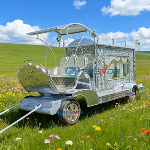 Silver Luxury Horse-Drawn Funeral Hearse Carriage with Ornate Detailing - Product Image 1