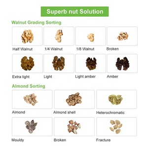 Máy Tách Vỏ Hạt Điều Wesort Cho Nhà Máy Chế Biến Hạt Điều - Product Image 4