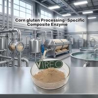 Poudre d'enzyme composite spécifique au traitement du gluten de maïs, qualité alimentaire 5000u/g, additifs alimentaires en vrac