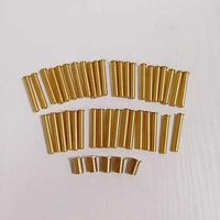 Derniers accessoires de golf 0.335 0.355 0.370 Tige en acier à pointe 2g 4g 6g 8g 10g Clou en laiton pour clubs de golf