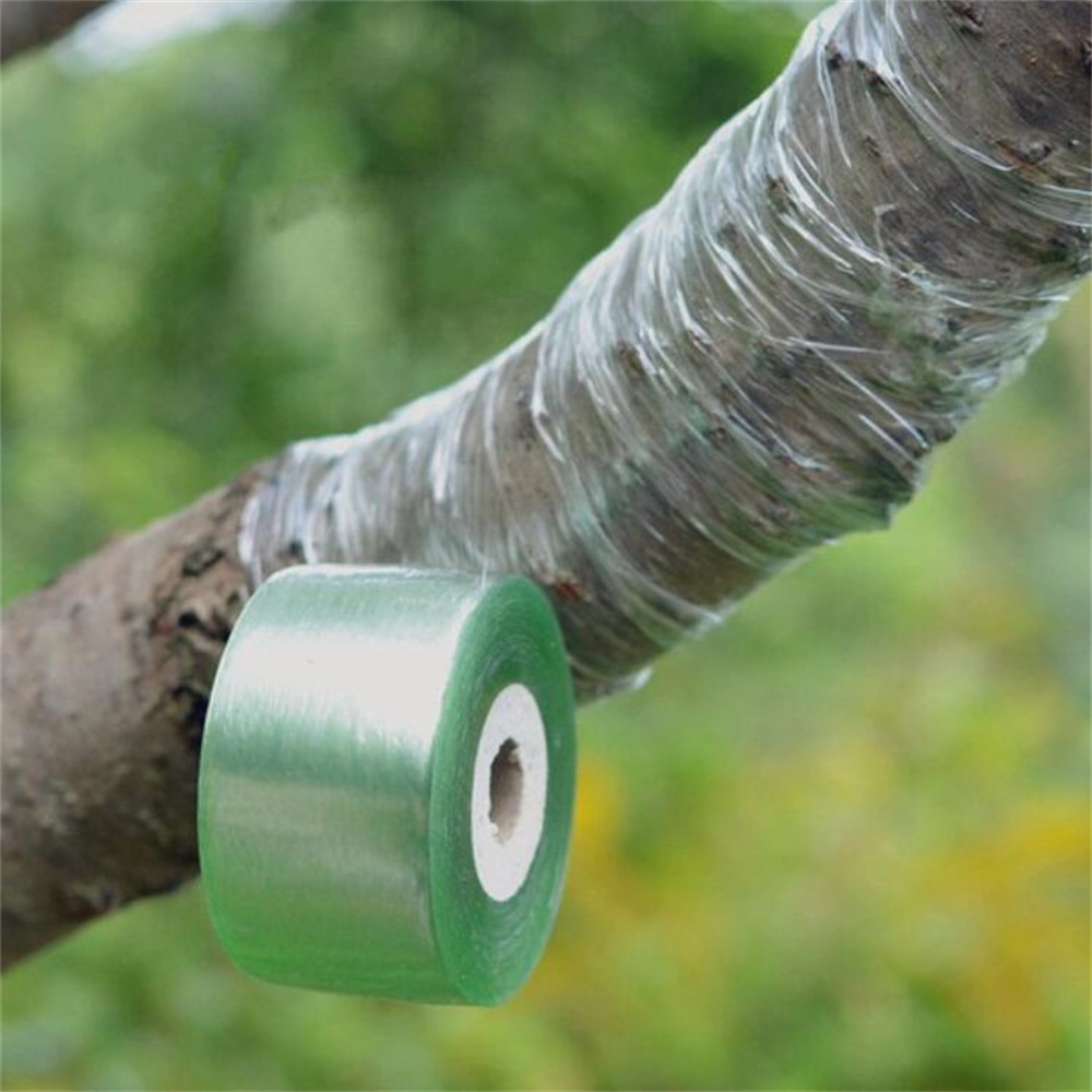 Ruban de greffage Film de greffage auto-adhésif extensible 3CM de large outil de greffage d'arbres fruitiers ruban de liaison de jardin Ruban de greffage Film de greffage auto-adhésif extensible 3CM de large outil de greffage d'arbres fruitiers ruban de liaison de jardin