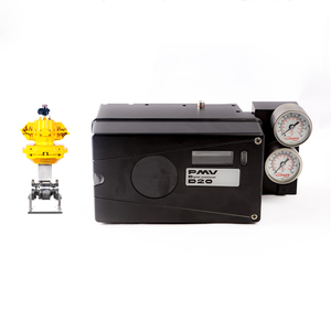 New and Original PMV D20 Digital WIth Shanghai Dianjian - Product Image 4