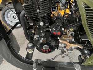 Triciclo <span class=keywords><strong>de</strong></span> Carga <span class=keywords><strong>de</strong></span> Gasolina <span class=keywords><strong>de</strong></span> 200cc, Motocicleta <span class=keywords><strong>de</strong></span> Tres <span class=keywords><strong>Ruedas</strong></span> para el Transporte <span class=keywords><strong>de</strong></span> Productos Agrícolas - Product Image 4