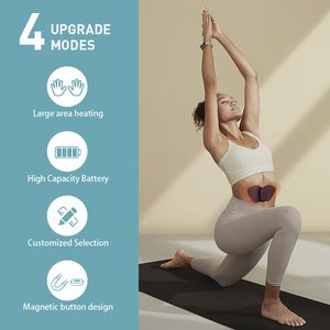 Biểu tượng tùy chỉnh Sưởi ấm toàn thân Massager 6 chế độ điều khiển từ xa hàng chục máy để giảm đau thắt lưng - Product Image 3