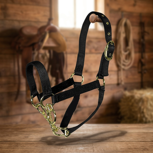 Shemax Nylon vaca Halter con cadena - Product Image 2
