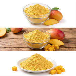 Astrawell - Polvo de Jugo de Mango Soluble en Agua de Alta Pureza - Product Image 5