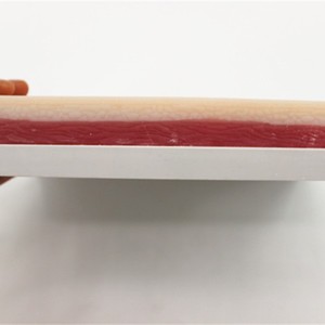 Module de formation à la suture sur peau humaine simulée, module d'entraînement à la ligature de nœuds chirurgicaux, module d'incision et de suture cutanée - Product Image 3