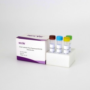 50 반응 조류 백혈병 바이러스 qRT-PCR 키트 (FAM 프로브) | 가금류 검사 - Product Image 4