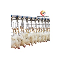 Eruis Plumeuse automatique Volaille 300-3000 BPH Usine d'habillage de poulet Niveau de sécurité élevé Stunner de poulet