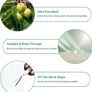 Rete Antiuccelli Verde per Giardino, Rete per Alberi da Frutto, Protezione per Frutteti - Product Image 2