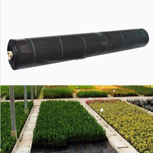 Biodégradable Agriculture Paysage Tissu <span class=keywords><strong>Anti</strong></span> UV PP En Plastique <span class=keywords><strong>Géotextile</strong></span> pour Barrière De Mauvaises Herbes Tissu <span class=keywords><strong>Jardin</strong></span> Couvre-Sol Contrôle Des Mauvaises Herbes - Product Image 1