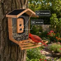 Mangeoire à oiseaux intelligente 4K AI avec caméra d'enregistrement pour l'observation des oiseaux en extérieur avec identification automatique
