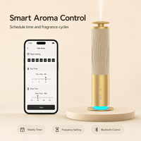 Diffuseur d'arômes professionnel sans eau, machine à parfum nébulisante rechargeable en alliage d'aluminium pour la maison