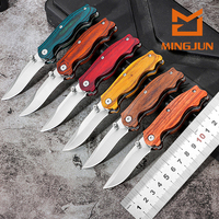Couteau à lame fixe de style Nusi pour l'extérieur, coupe-fruits portable, outil utilitaire EDC, petit outil de découpe pour unboxing