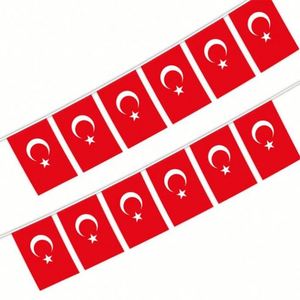 Guirlande de 10 mètres de drapeaux turcs en polyester rectangulaires, 30 drapeaux, forme et taille personnalisées pour la décoration - Product Image 1