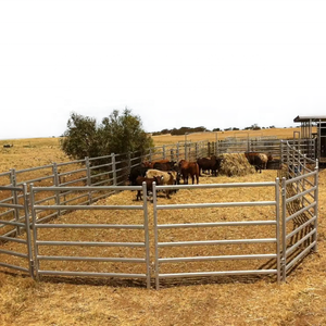 Paneles de cerca de corral para <span class=keywords><strong>caballos</strong></span> y ovejas, tubería ovalada galvanizada de 2,1 m x 1,8 m, panel de <span class=keywords><strong>caballos</strong></span> - Product Image 1