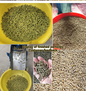 Yeni ev kullanımı pelet makinesi 70Kg saat yem kapasitesi hayvan yemi granülatör - Product Image 4