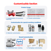 Coupleur rapide hydraulique à face plate série FF ISO 16028, ensemble mâle-femelle, options de filetage SAE NPT BSP métrique pour lignes de puissance fluide