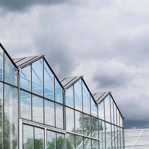 <span class=keywords><strong>Serre</strong></span> hydroponique 2025 utilisée commerciale <span class=keywords><strong>de</strong></span> grande taille pour l'agriculture cultivant des légumes à <span class=keywords><strong>salade</strong></span> - Product Image 1